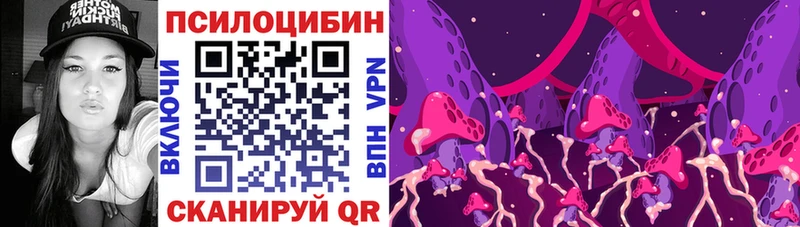 Псилоцибиновые грибы Psilocybe  Солнечногорск 